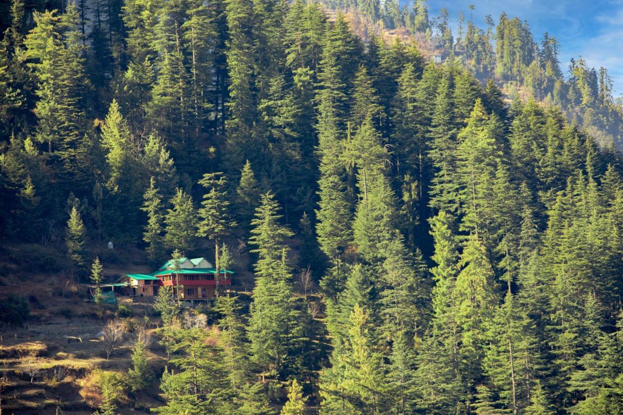 Freebird Nest Jibhi Exterior foto
