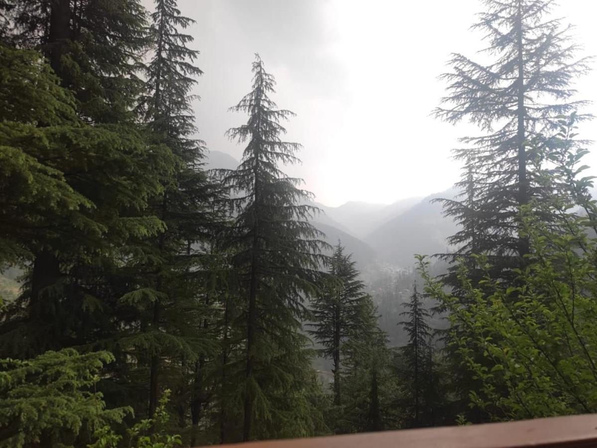 Freebird Nest Jibhi Exterior foto