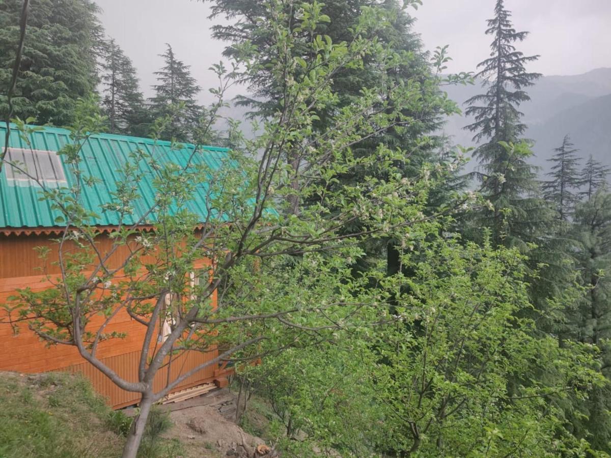 Freebird Nest Jibhi Exterior foto