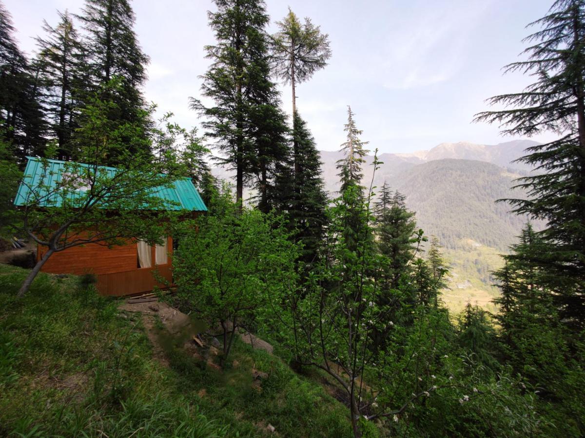 Freebird Nest Jibhi Exterior foto