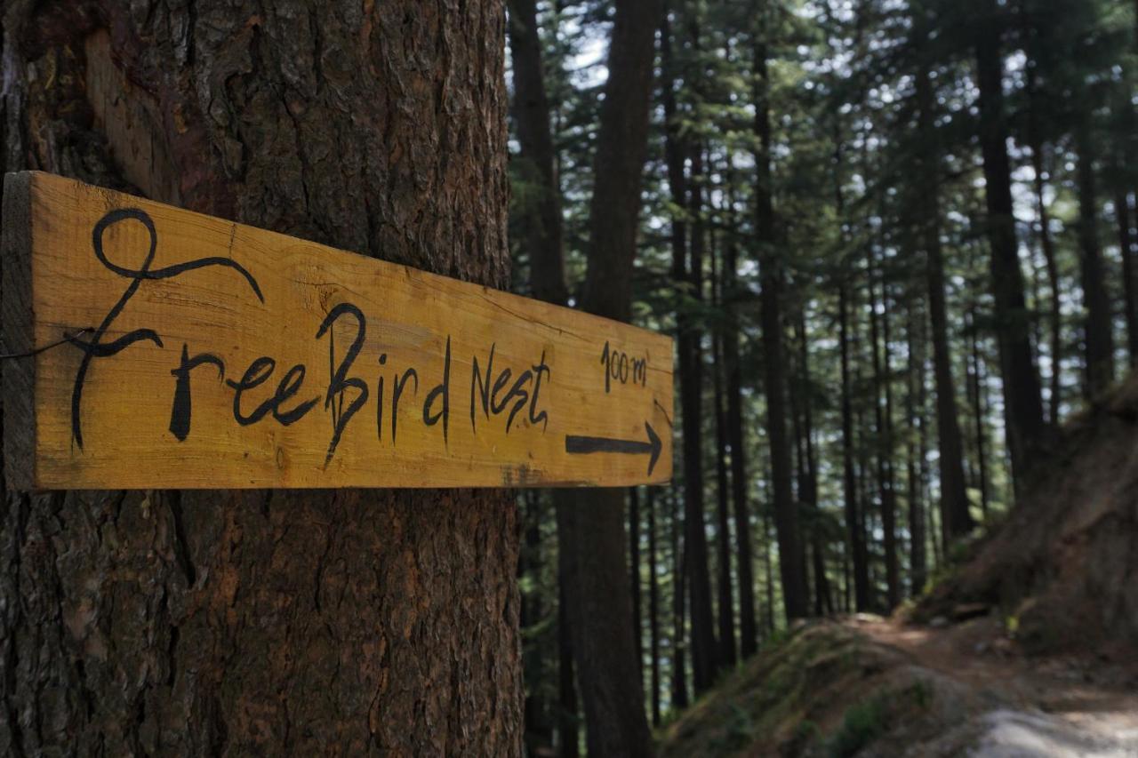 Freebird Nest Jibhi Exterior foto